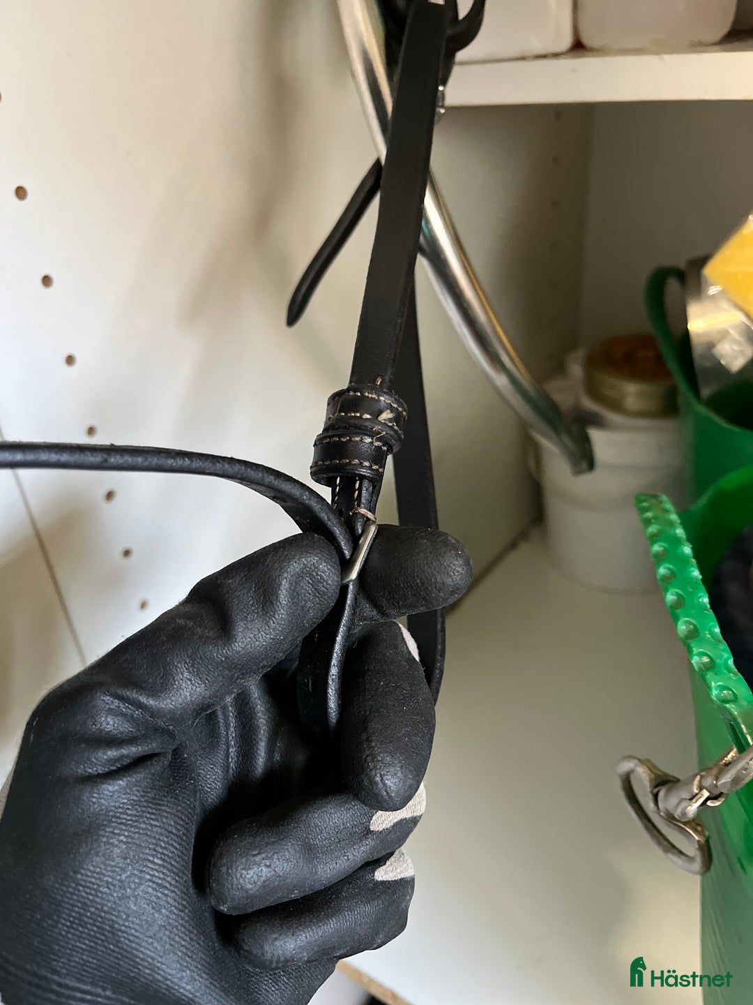 Träns hästutrustning till salu: Ps träns modell Antwerpen  i Växjö - Annons 7