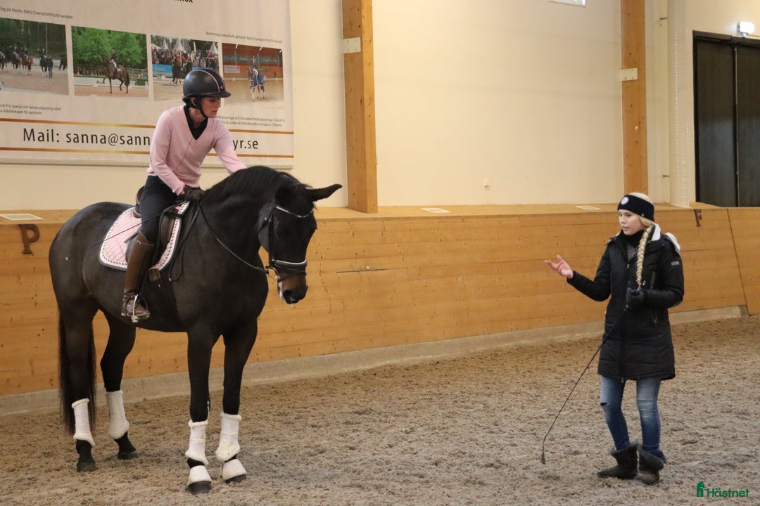  hästservice finnes: Ride and Dine kurs på Sanna Nilsson Dressyrcenter i Stora Sundby - Annons 7