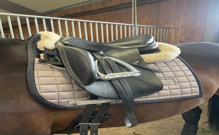 Sadlar hästutrustning till salu i Sollentuna - Annons 16
