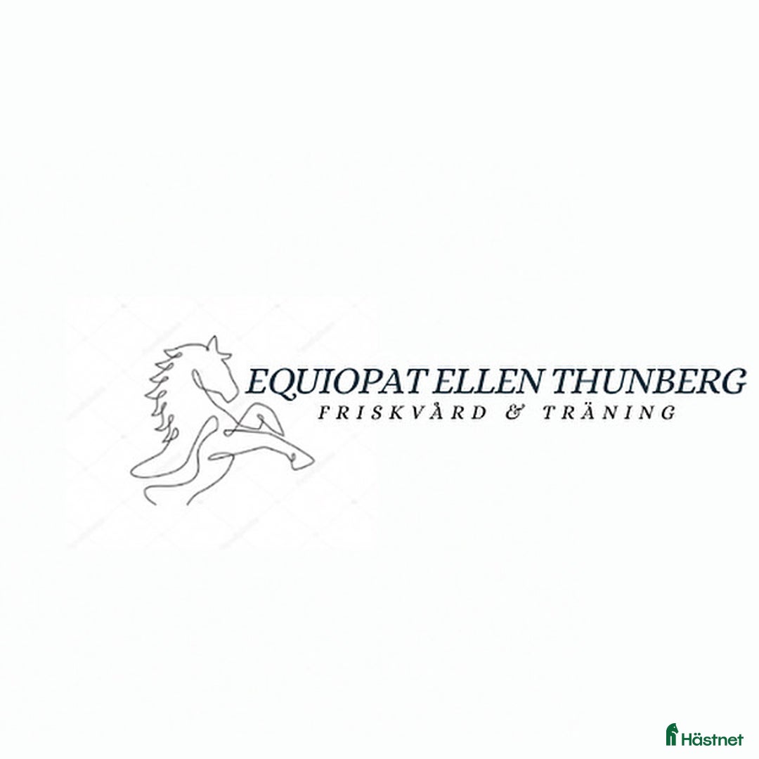  hästservice finnes: Ge din häst den bästa julklappen🎅🏼 i Kristdala - Annons 4