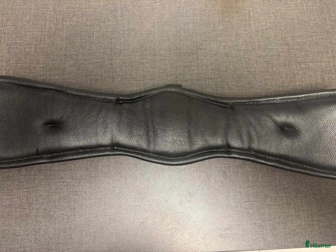 Sadeltillbehör hästutrustning till salu: Sadelgjord  i Landskrona - Annons 2