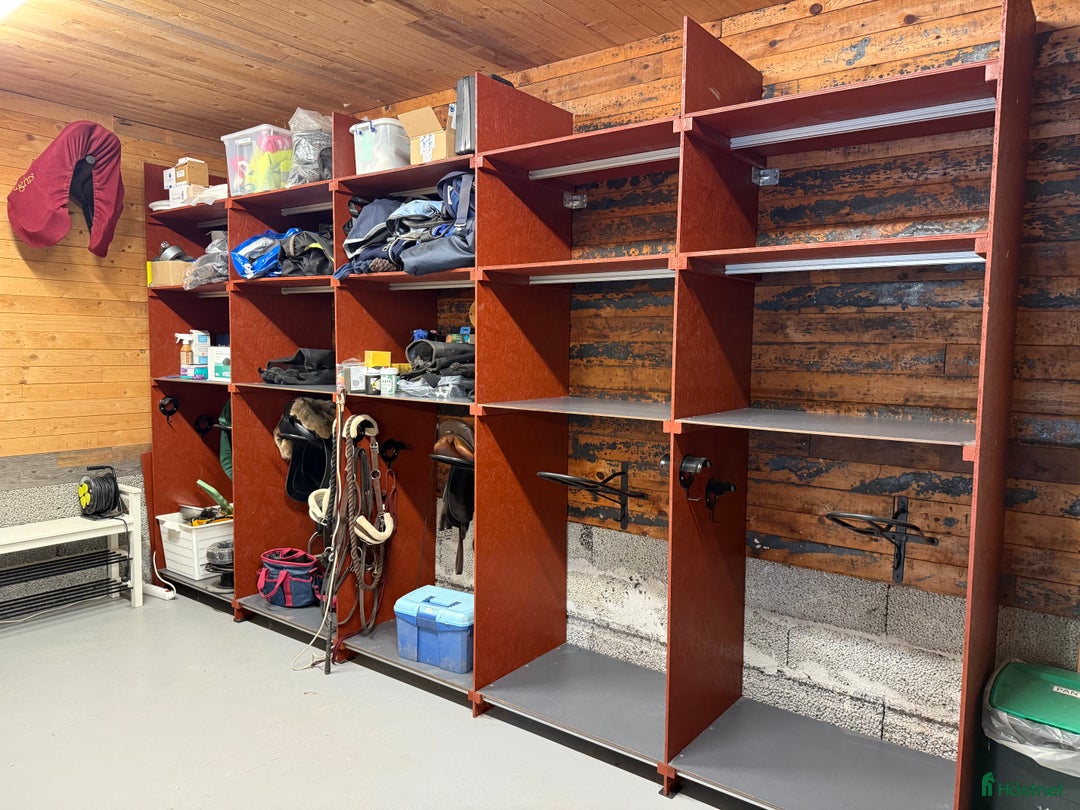  stallplats finnes: Granetorps Framtid 🥰 - lösdrift för islandshästar i Tyringe - Annons 16