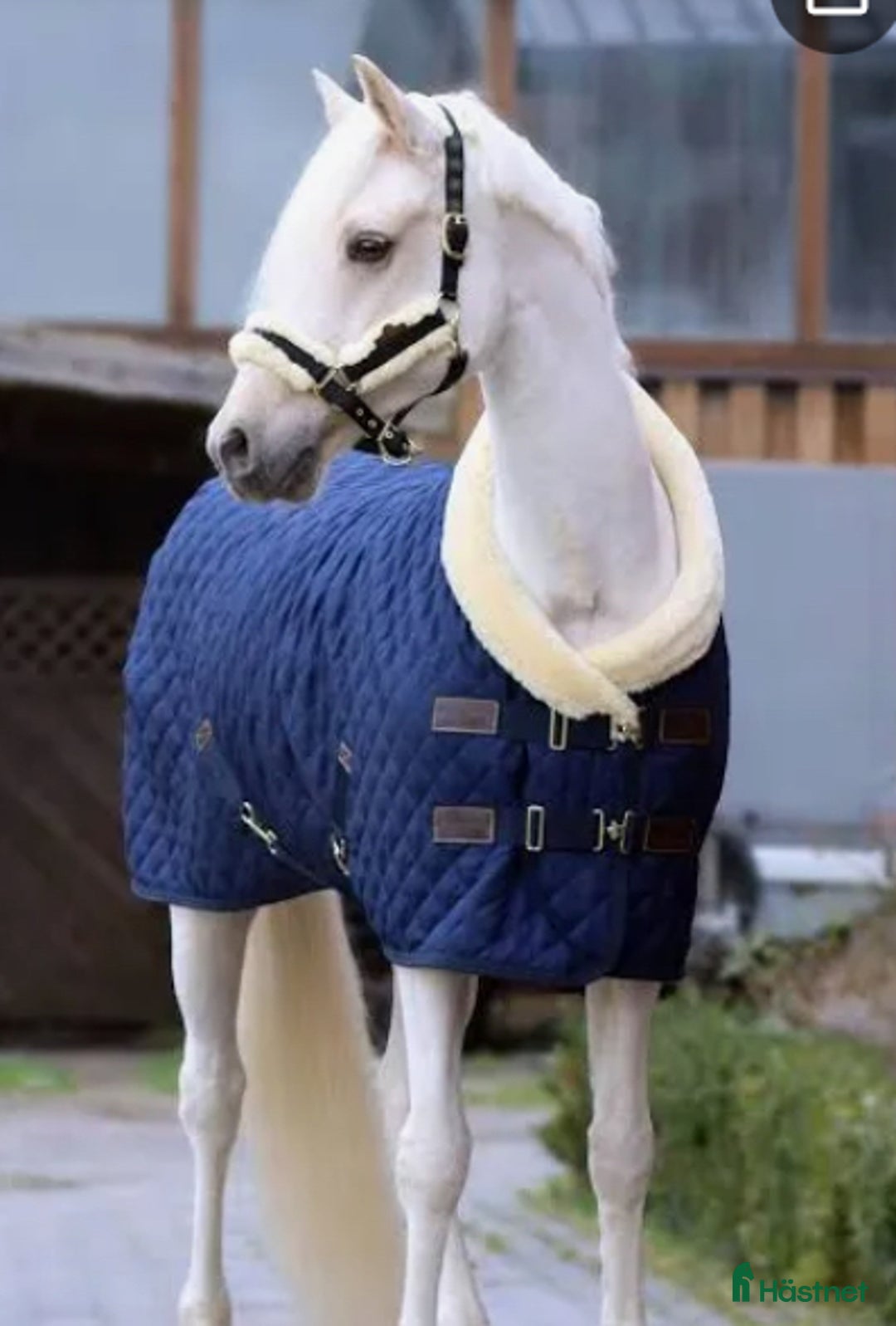 Täcken hästutrustning till salu: Mysigt tävlingstäcke med ludd, Kentucky i Ekerö - Annons 2