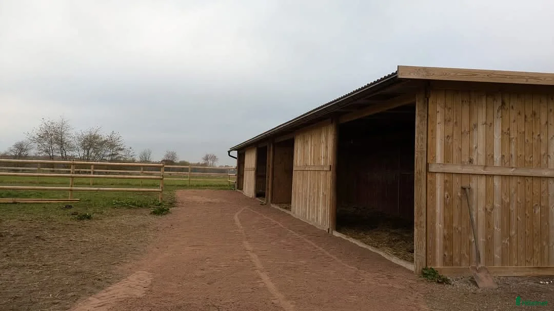  stallplats finnes: 1 ledig plats på underbar lösdrift  i Hörby - Annons 7