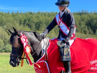 hästar Talented mare from 2018 – measured 139 cm - Annons 1