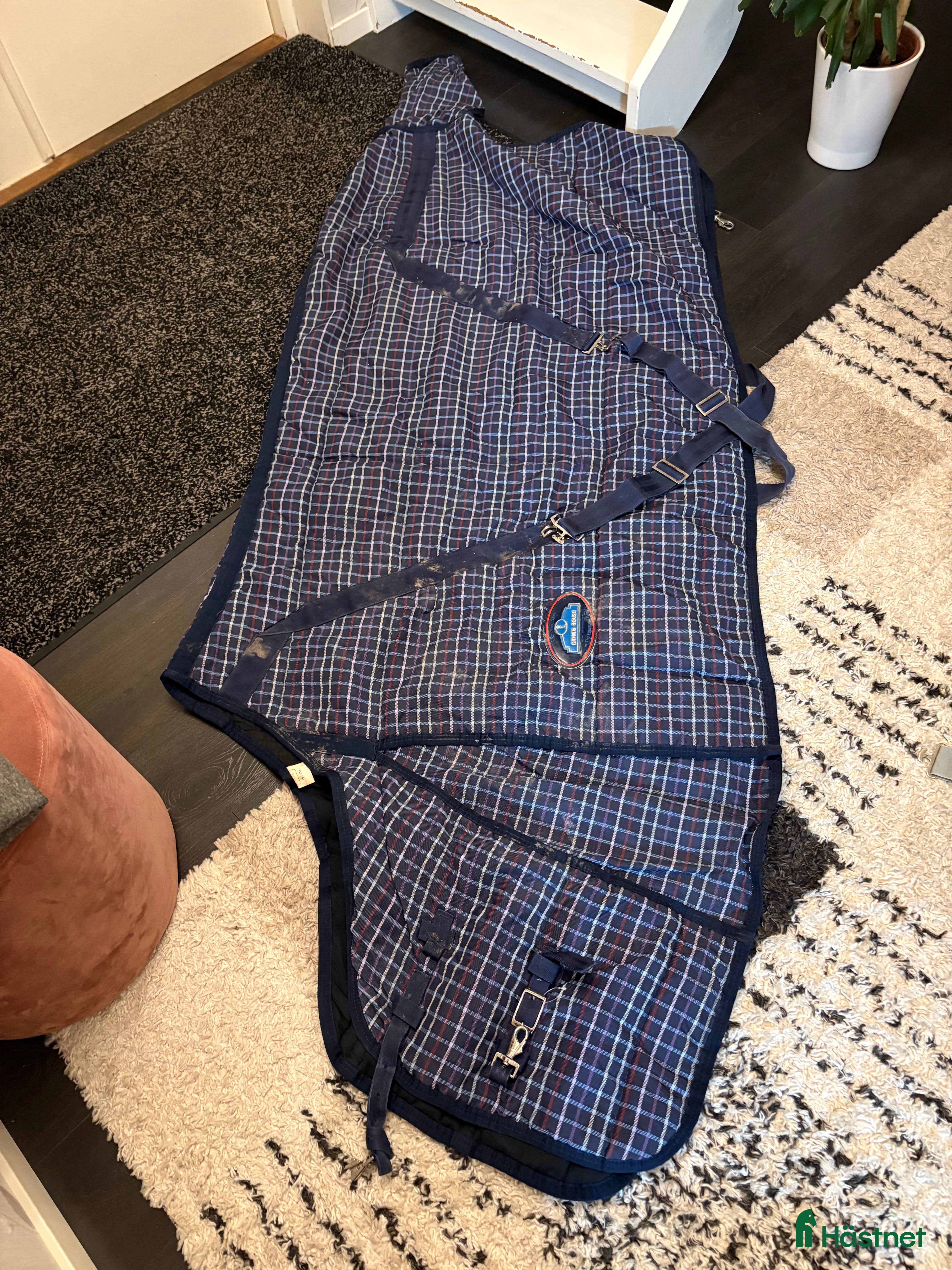 Täcken hästutrustning till salu: Täcken - Amigo, Trinity, Fairfield mm - Annons 3