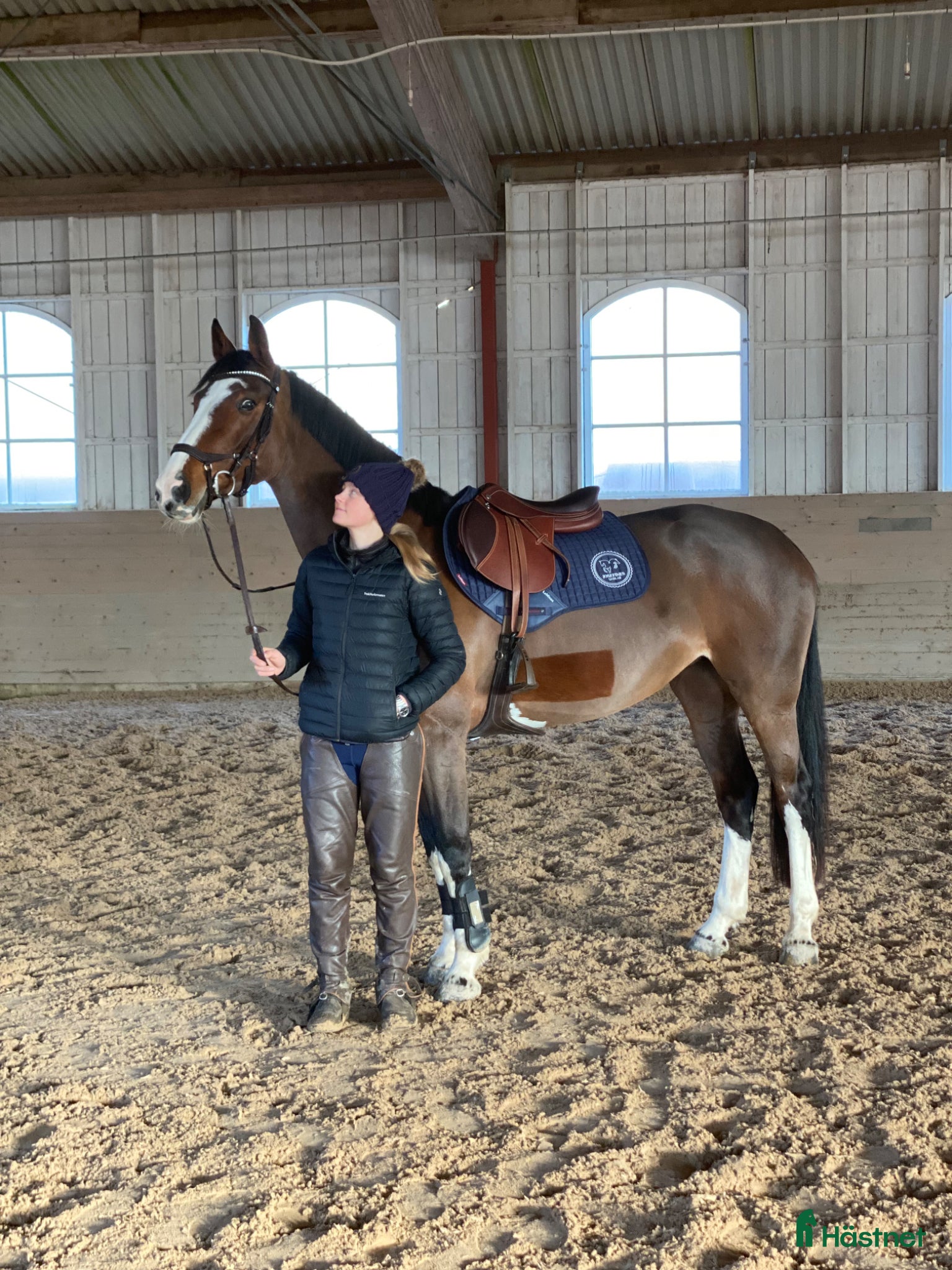  hästar Hästar till salu - Annons 16