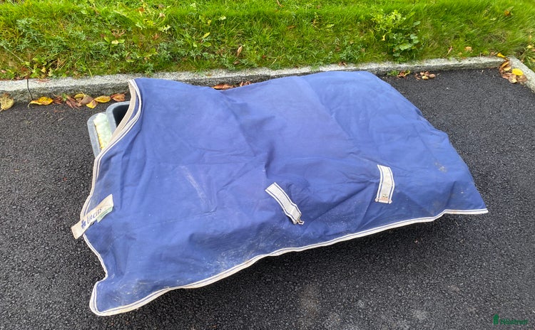 Täcken hästutrustning till salu i Ytterby - Annons 35