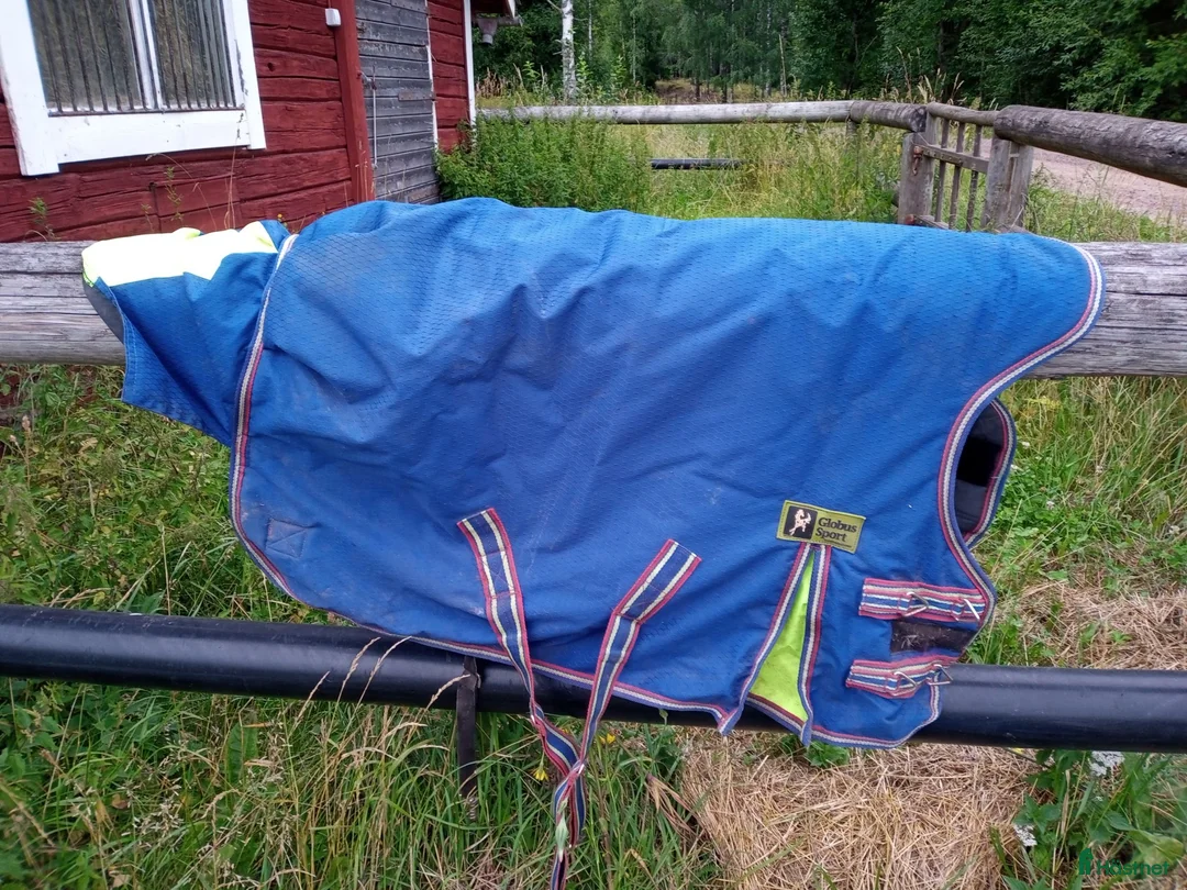 Täcken hästutrustning till salu: Vintertäcke storlek 75 - Annons 2