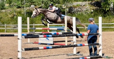  hästar i Krylbo - Annons 11