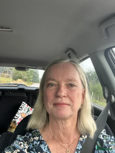 Galleribild {{count}}