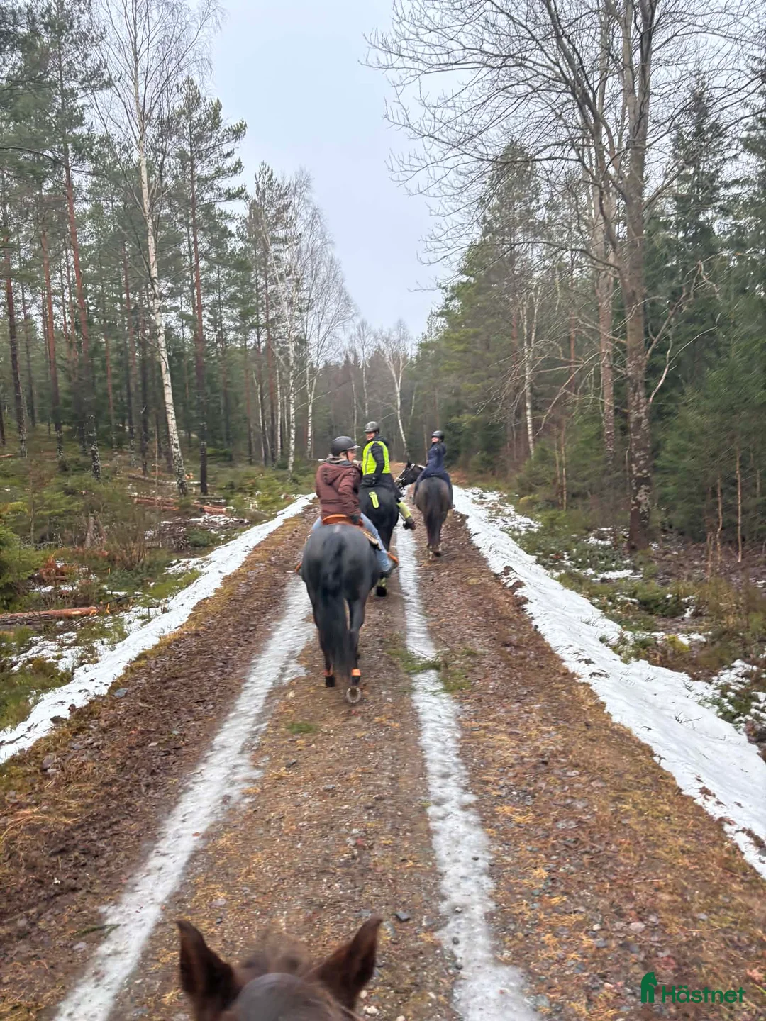  stallplats finnes: Lösdrift nära Södertälje  i Järna - Annons 20
