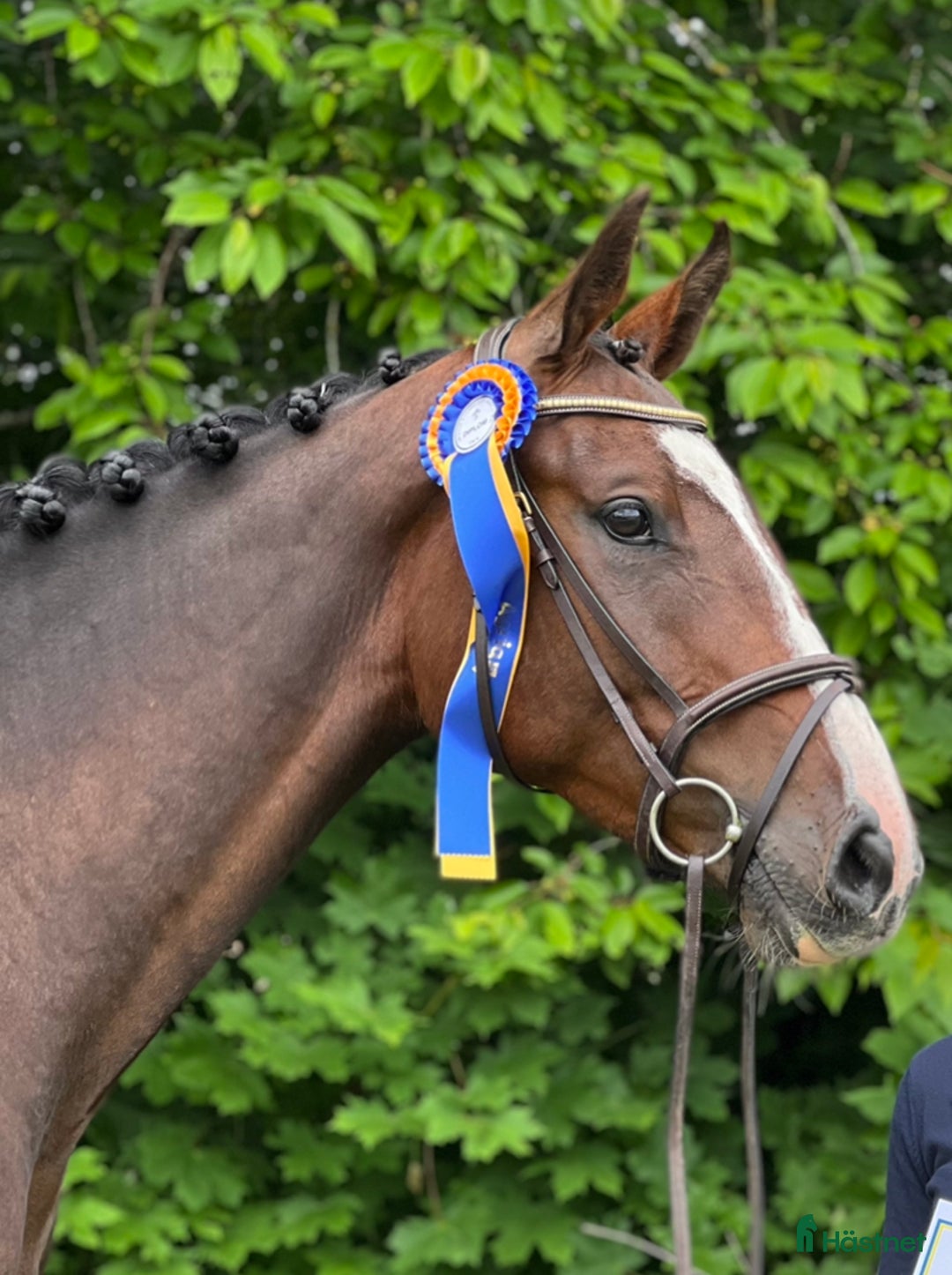 Galleribild {{count}}