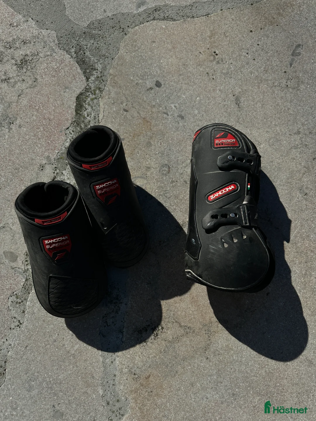 Benskydd hästutrustning till salu: Senskydd fram och bak Zandona - Annons 6