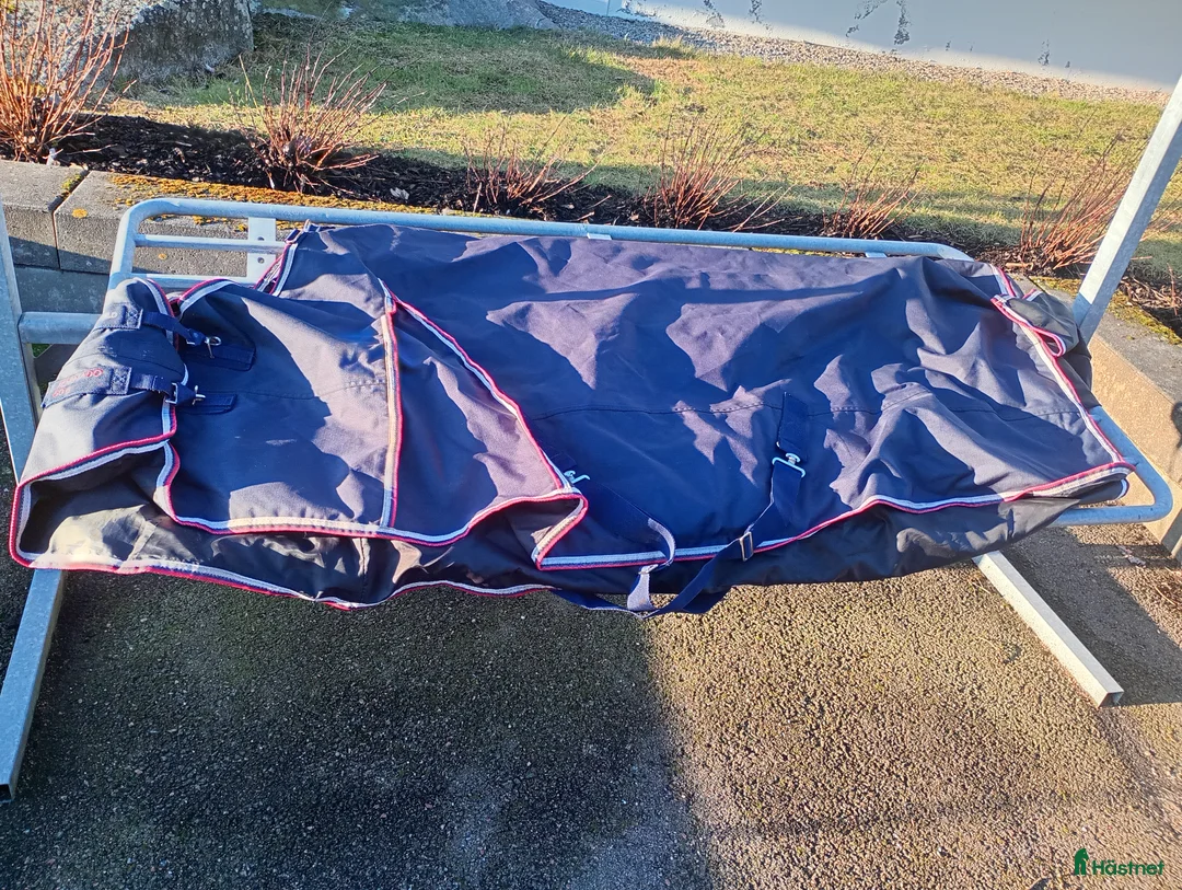 Täcken hästutrustning till salu: Regntäcke  - Annons 2