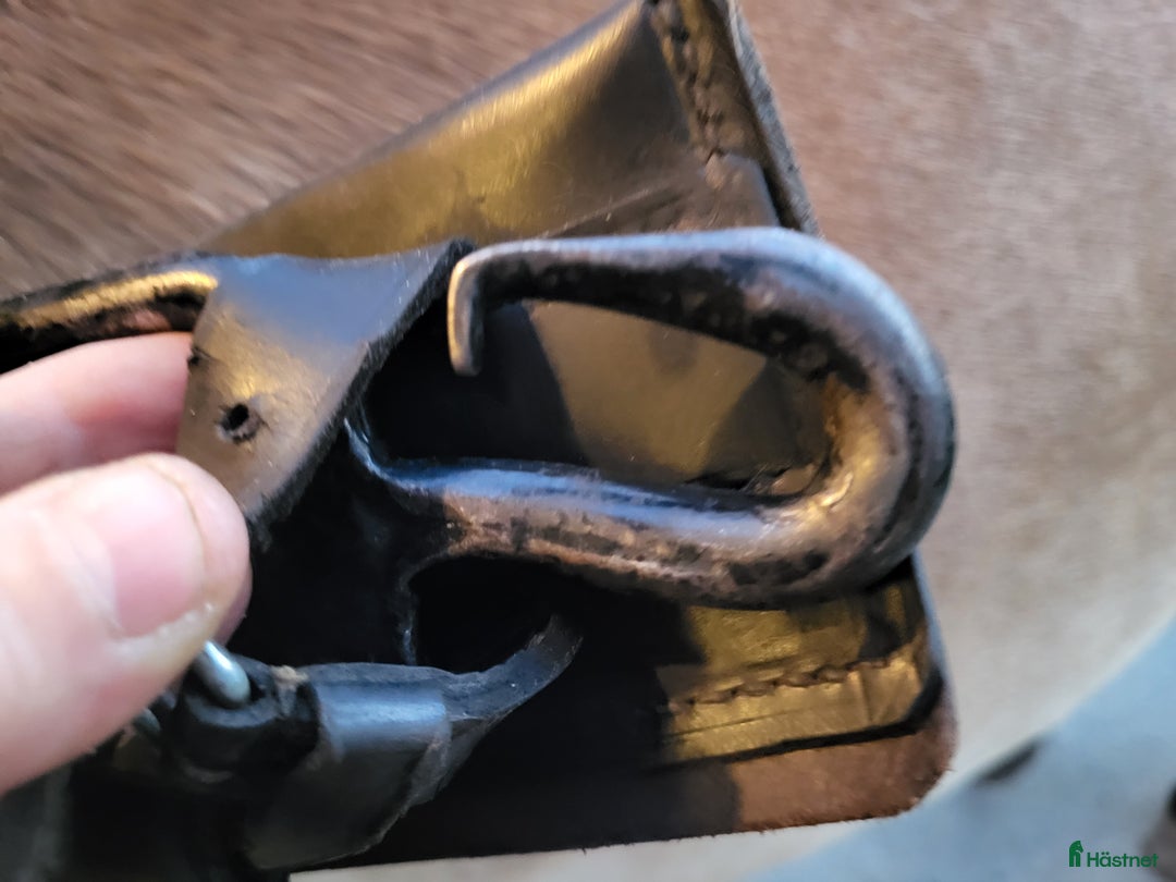 Övrig Hästutrustning hästutrustning till salu: Brösta till stor häst i Grillby - Annons 3