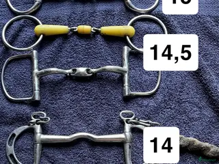 Bett hästutrustning bett 13-15 i Vikarbyn - Annons 7