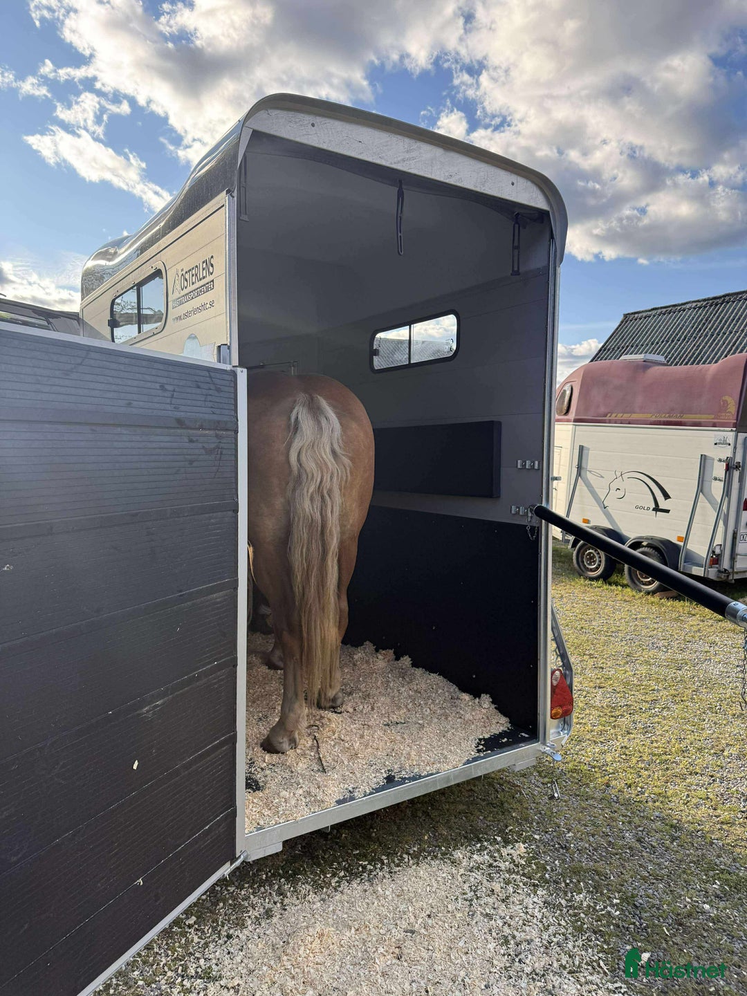 Hästtransporter  fordon & transport till salu: Hästtransport uthyres  i Växjö - Annons 2