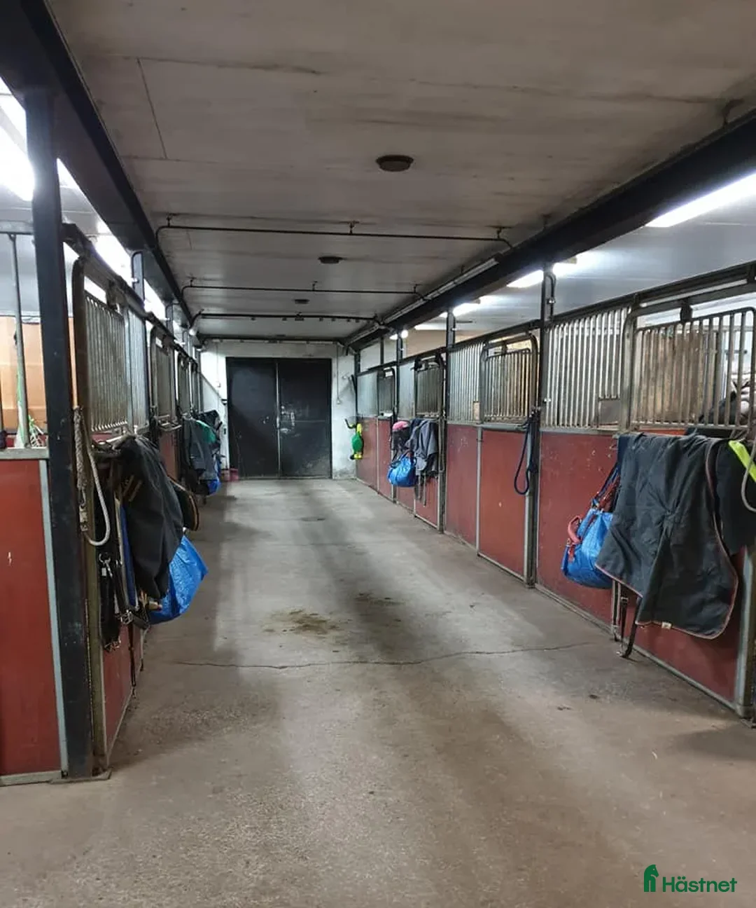  stallplats finnes: Ledig boxplats i Södertälje  - Annons 3