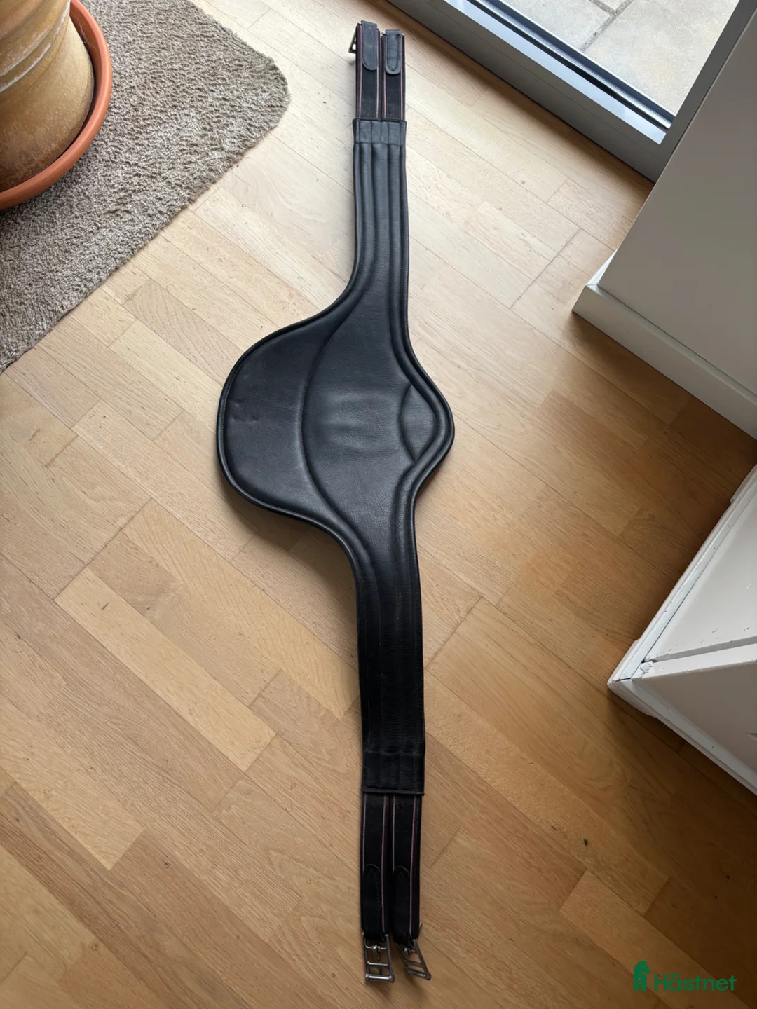 Sadeltillbehör hästutrustning till salu: Lippo hoppgjord magplatta - Annons 4