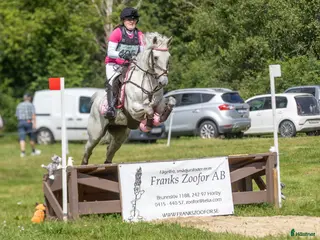 hästar 🌟Oslipad diamant för de högsta klasserna🌟 i Kinnared - Annons 9