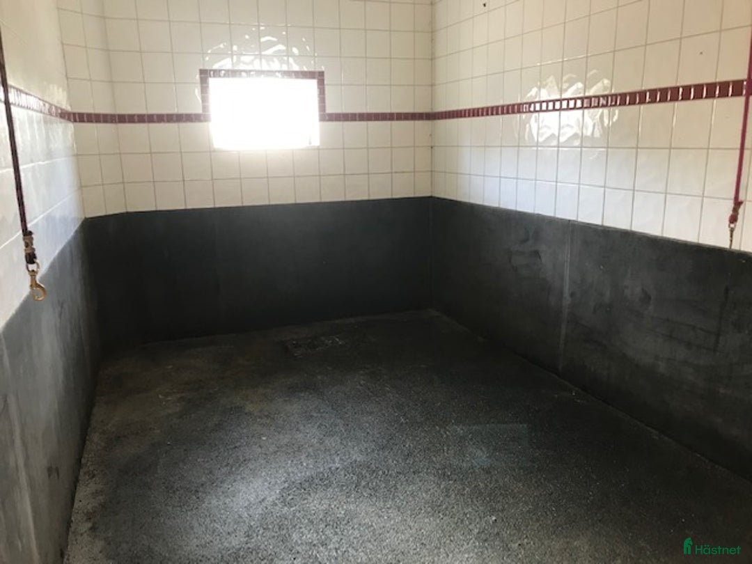  stallplats finnes: Stallplats med ridhus i Björklinge - Annons 3