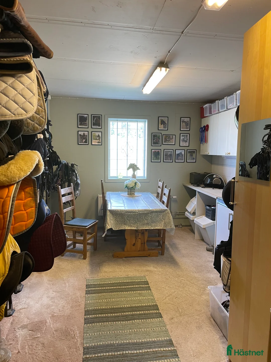  stallplats finnes: Stallplats i mindre stall - Annons 3