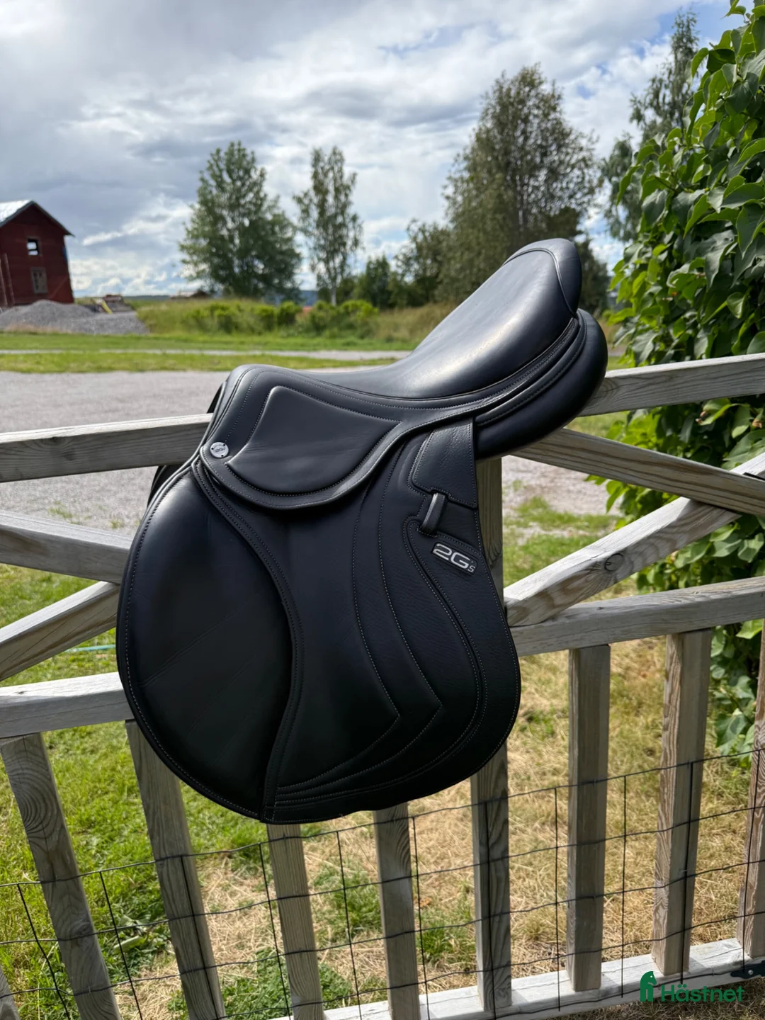 Sadlar hästutrustning till salu: CWD 2Gs Mademoiselle - Annons 2