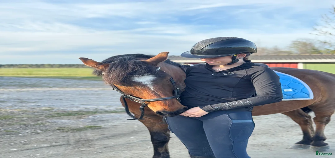 Galleribild {{count}}