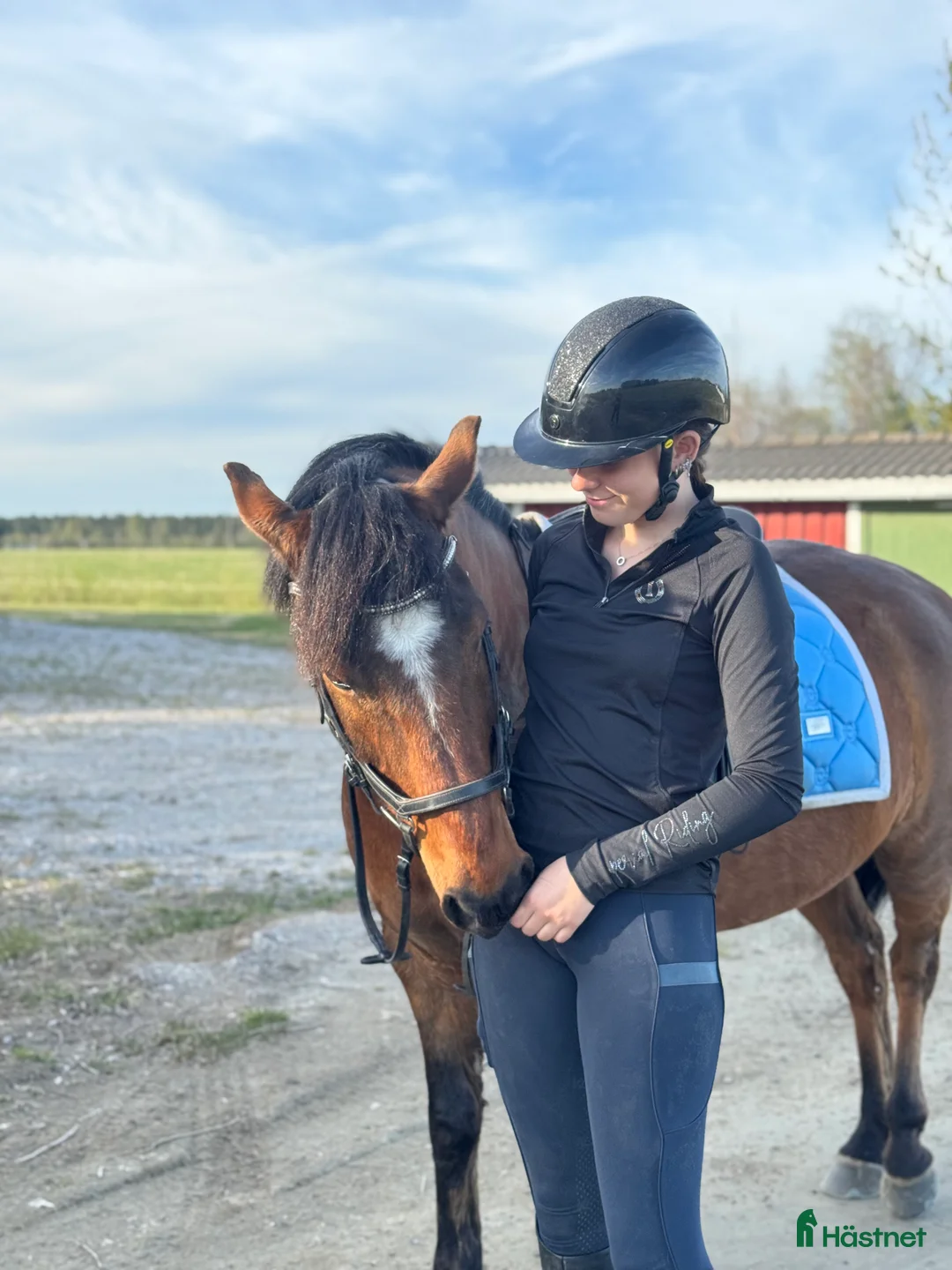 Galleribild {{count}}