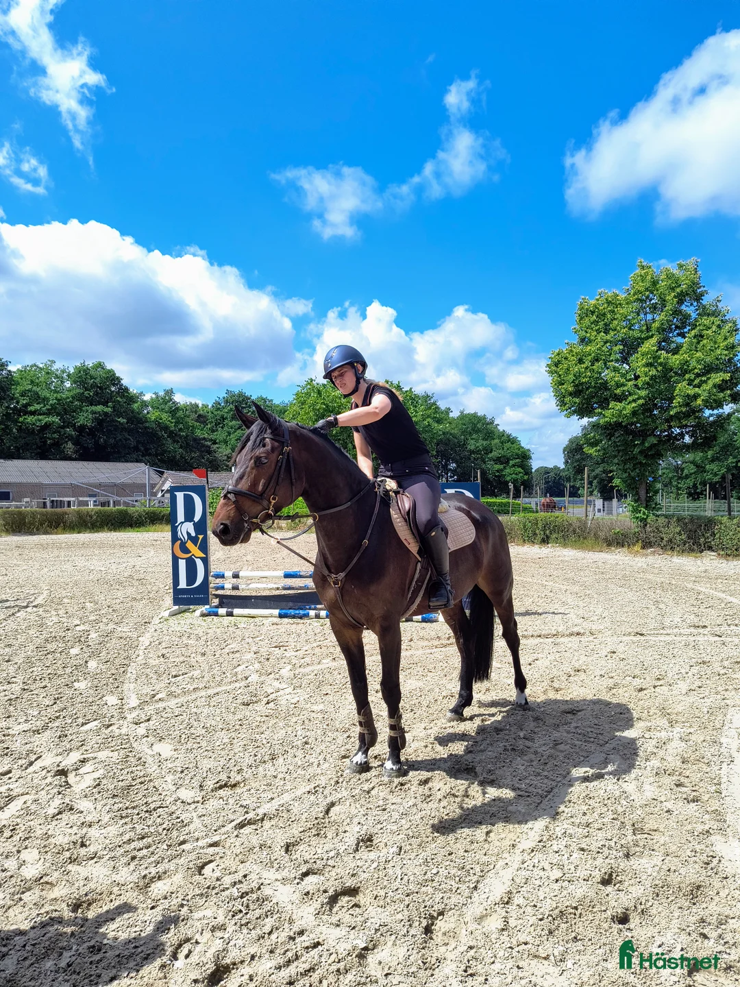 Galleribild {{count}}