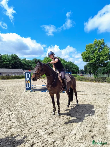 Galleribild {{count}}