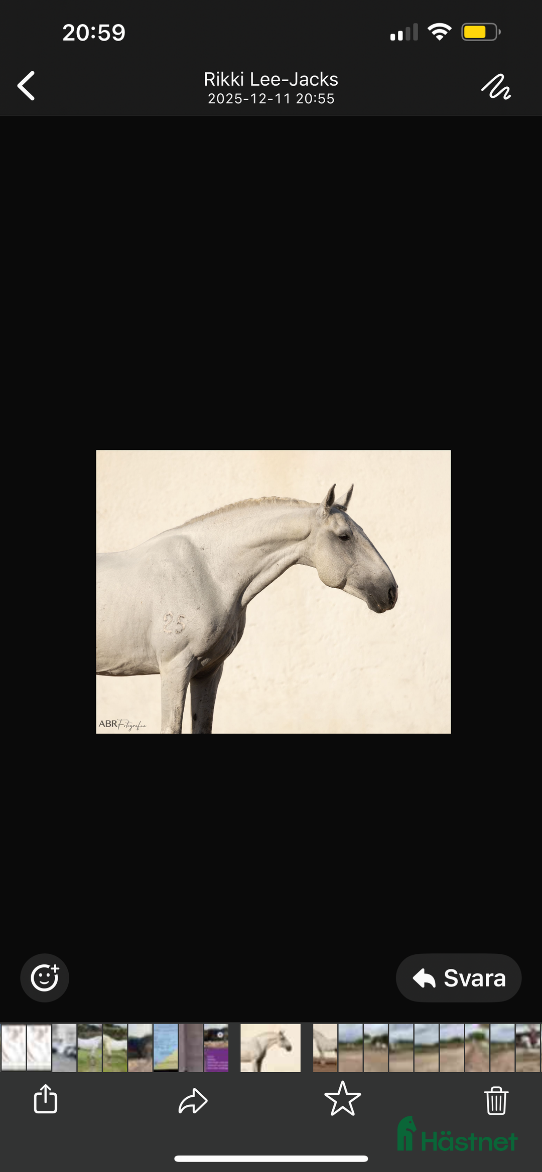 Dressyr hästar till salu: Fantastisk Lusitano  i Skurup - Annons 2