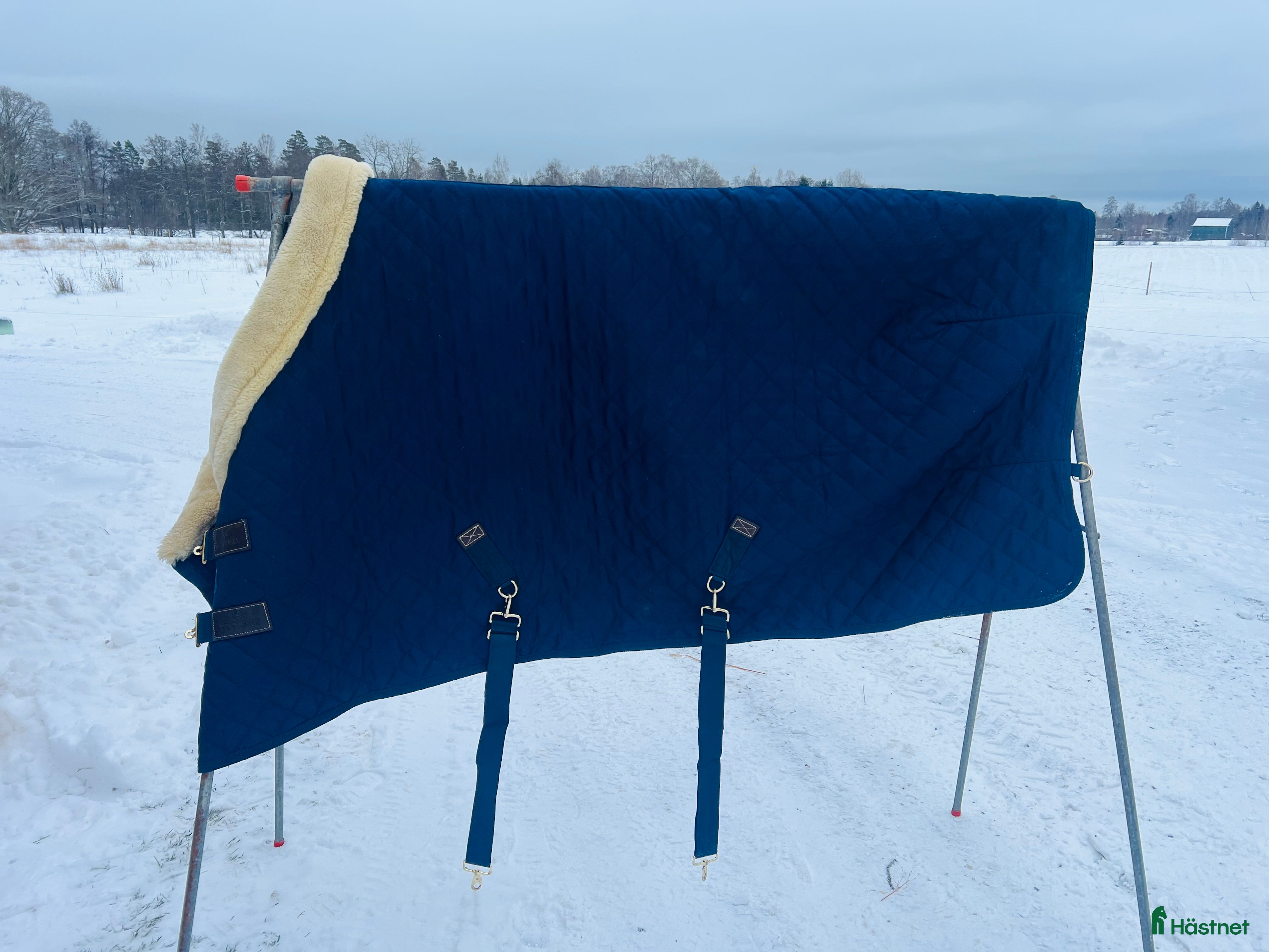 Täcken hästutrustning Kentucky täcke  i Brålanda - Annons 13