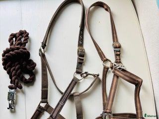 Övrig Hästutrustning hästutrustning till salu: 2 stycken grimmor samt 1 stycken grimskaft i Fliseryd - Annons 4