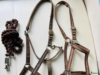 Övrig Hästutrustning hästutrustning 2 stycken grimmor samt 1 stycken grimskaft i Fliseryd - Annons 6