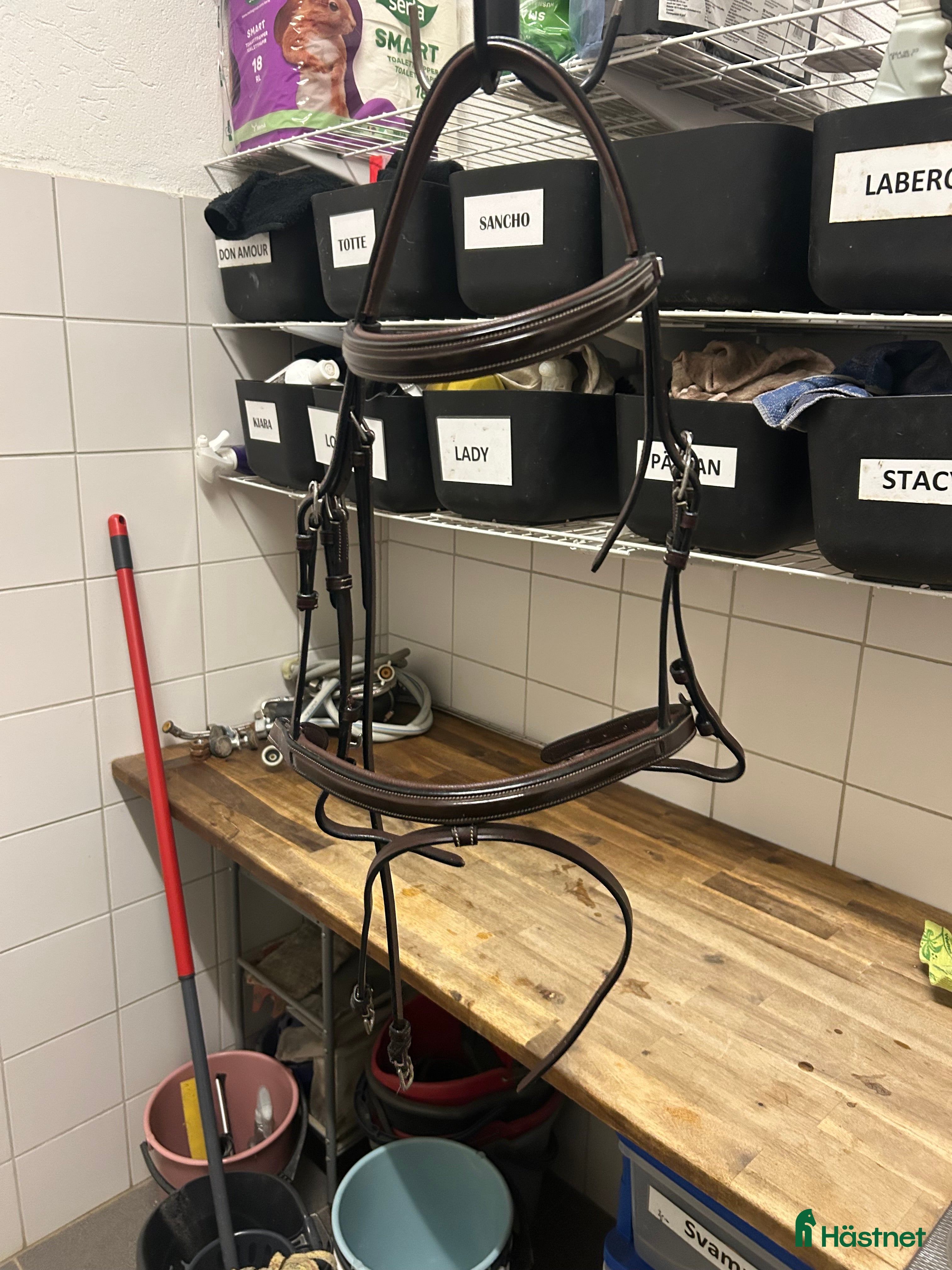 Träns hästutrustning till salu: Equipe träns med lack detaljer  - Annons 2