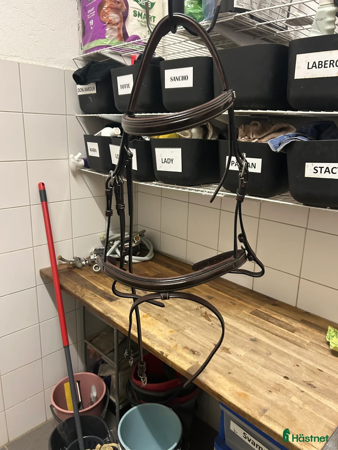 Träns hästutrustning till salu: Equipe träns med lack detaljer  - Annons 1