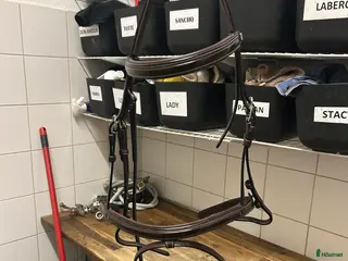 Träns hästutrustning till salu: Equipe träns med lack detaljer - Annons 2