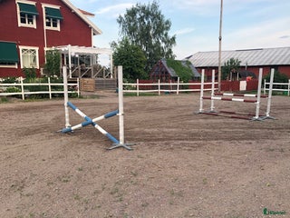 stallplats Lösdrift med tillgång till box i Bälinge - Annons 10
