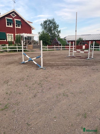 stallplats i Bälinge - Annons 12