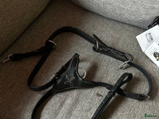 Sadeltillbehör hästutrustning till salu: Förbygel i Hörby - Annons 2