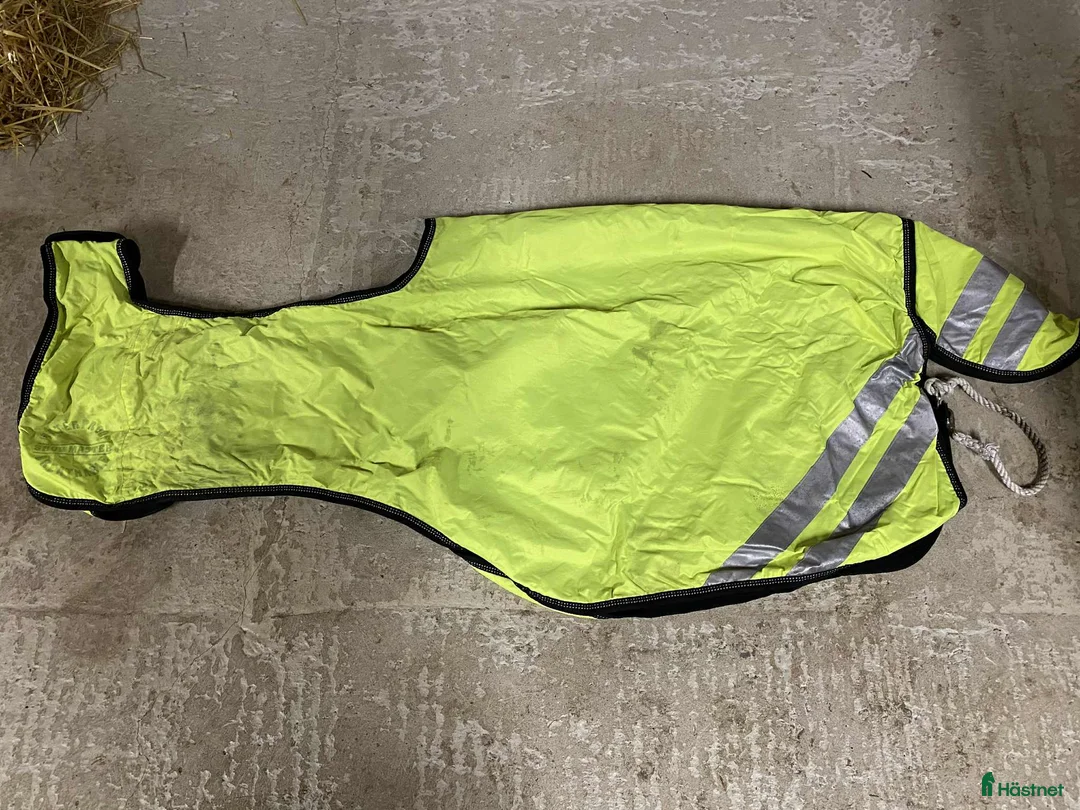 Övrig Hästutrustning hästutrustning till salu: Massa utrustning! i Lund - Annons 19