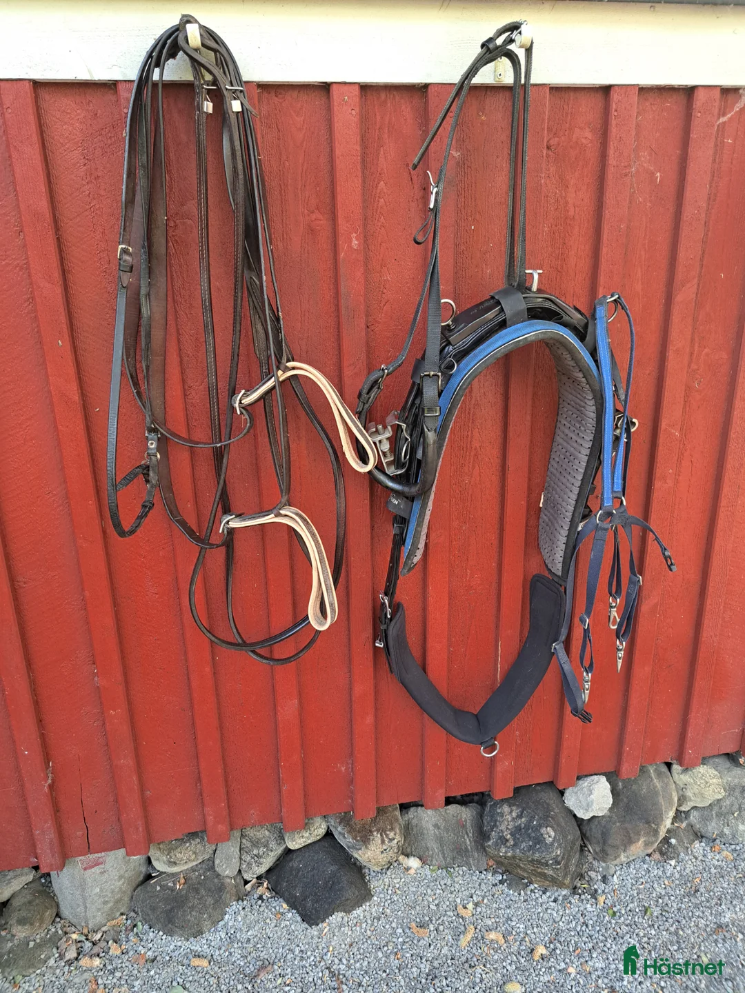 Travselar trav till salu: Trav sele wahlsten - Annons 1