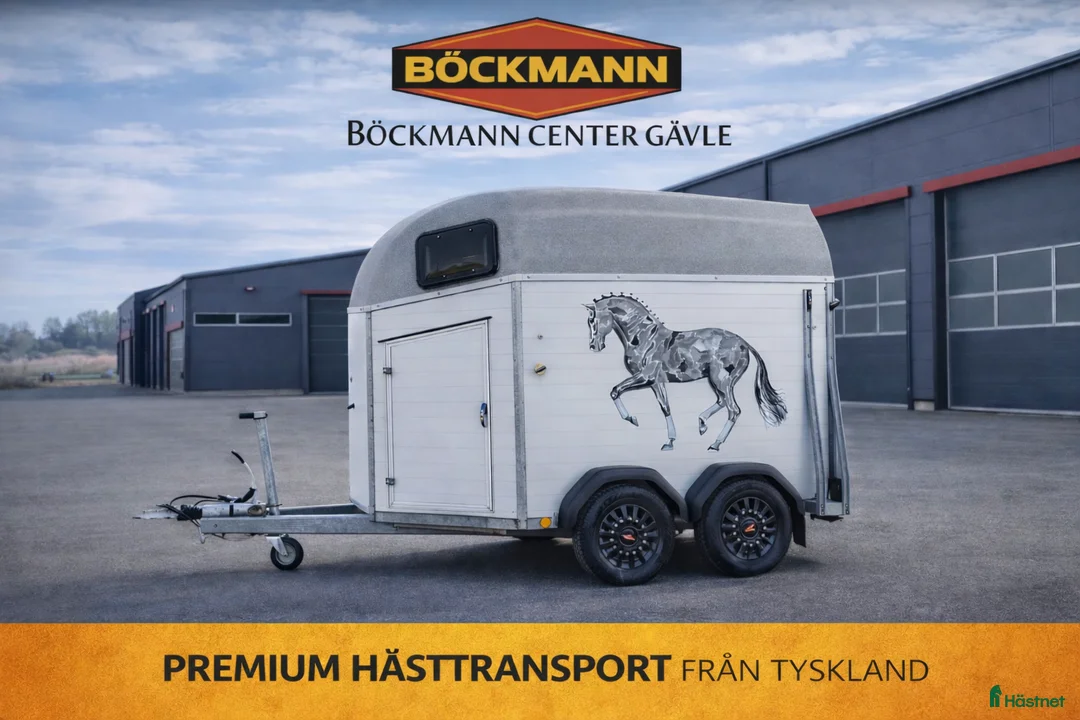 Hästtransporter  fordon & transport till salu: Böckmann champion c - Annons 1