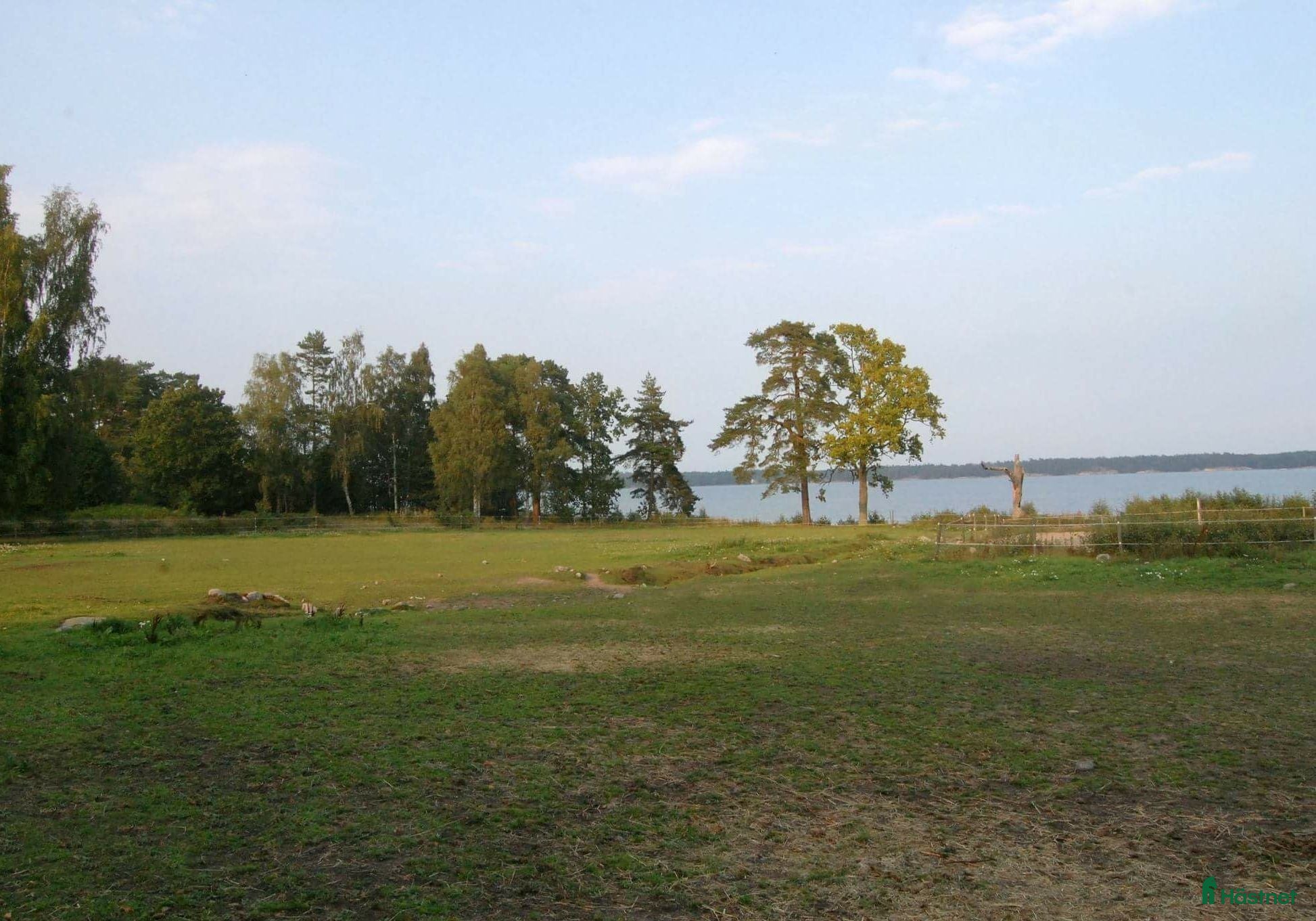  stallplats Lösdrift Full Service - Annons 16