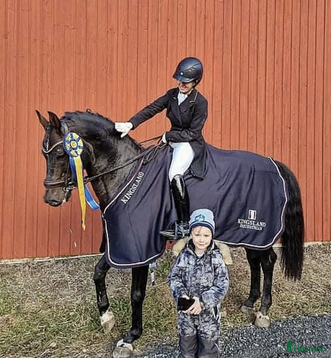  hästservice finnes: Hästservice finnes. i Varberg - Annons 1