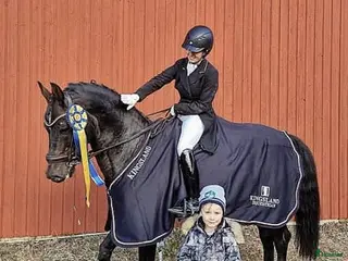 hästservice Hästservice finnes. i Varberg - Annons 7