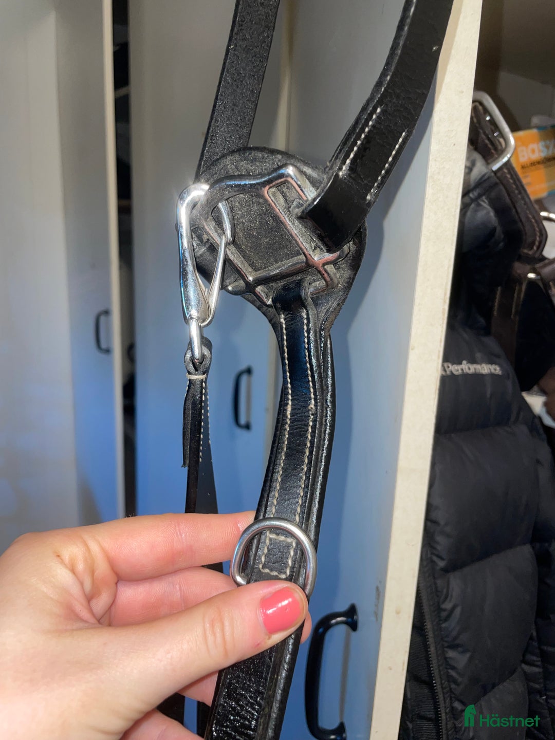 Övrig Hästutrustning hästutrustning till salu: Förbygel i Oskarshamn - Annons 3