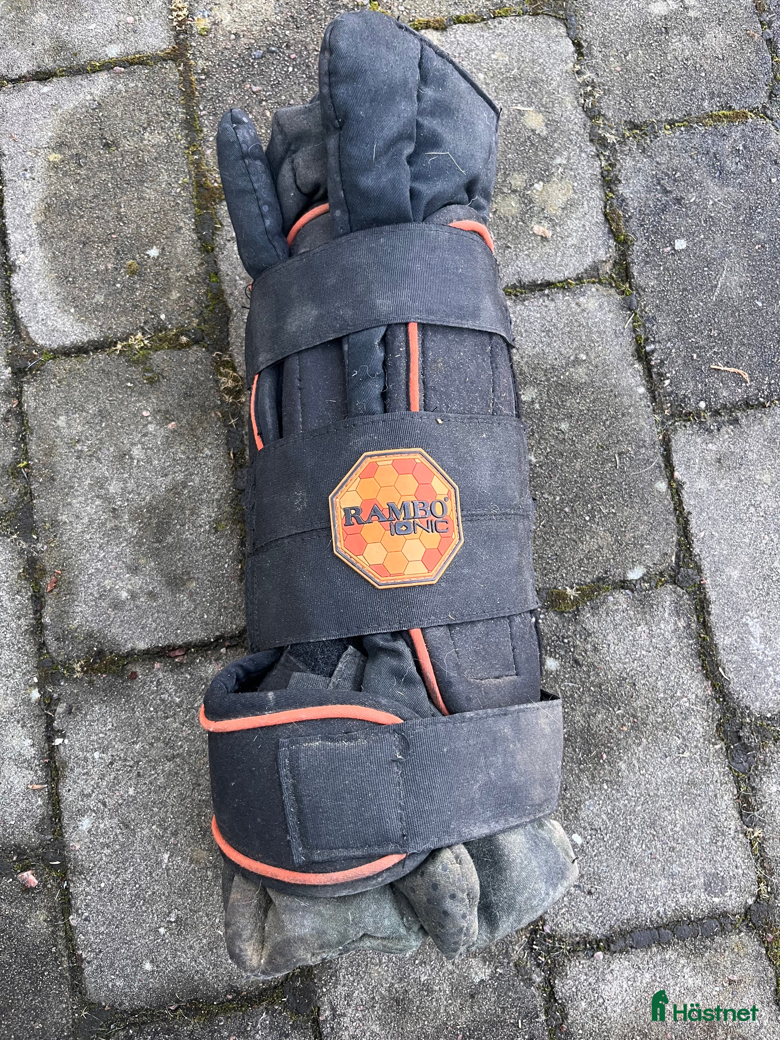 Benskydd hästutrustning Rambo Ionic transportskydd - Annons 1